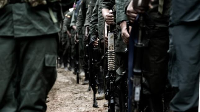 La ONU confirmó que ya recibió 2.300 armas de las FARC