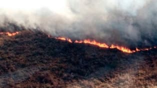 Los incendios arrasaron más de ocho mil hectáreas en Córdoba