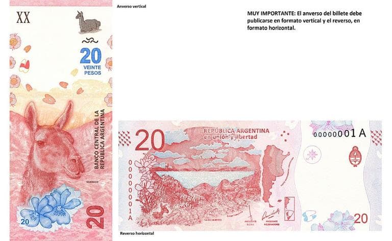 Este es el nuevo billete de $ 20 con la imagen del guanaco que circulará desde mañana