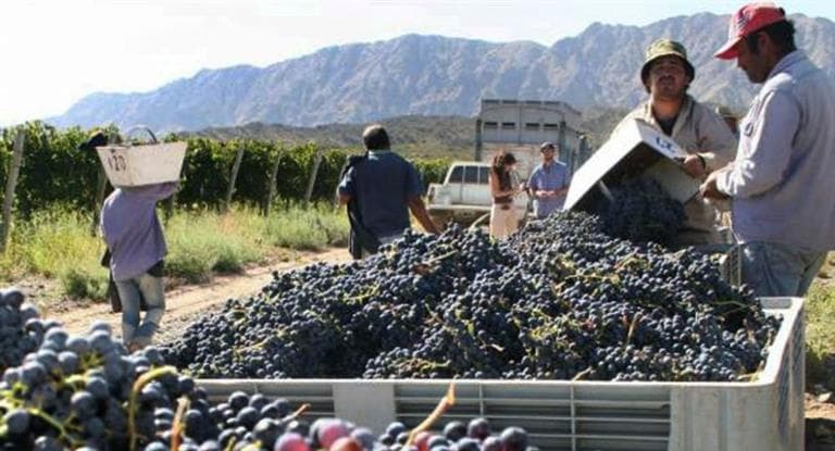 Productores vitivinícolas afirman que impuesto interno se va a trasladar a precios