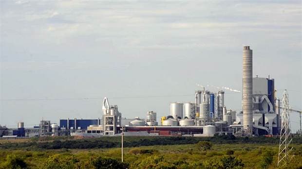 Acuerdan construir una nueva planta de celulosa en Uruguay