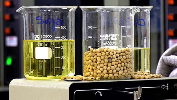 Estados Unidos confirmó sanciones definitivas para el biodiésel argentino