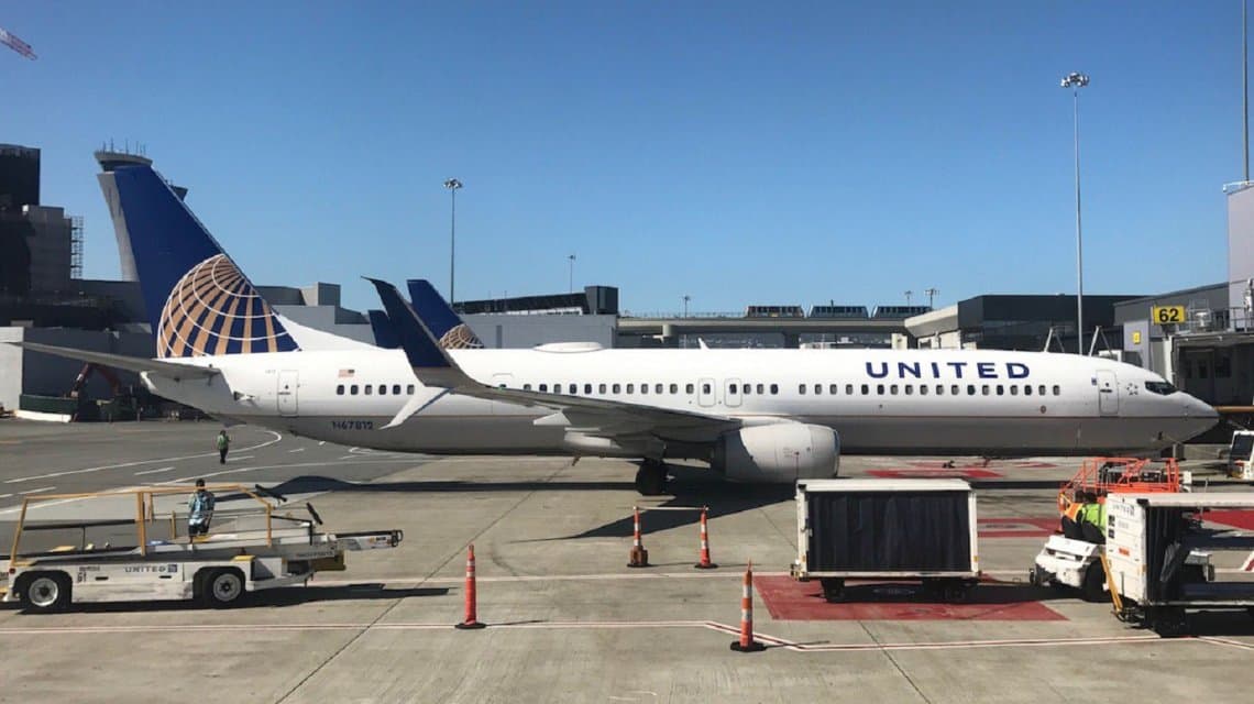 Un perro murió en pleno vuelo porque lo hicieron viajar con el equipaje