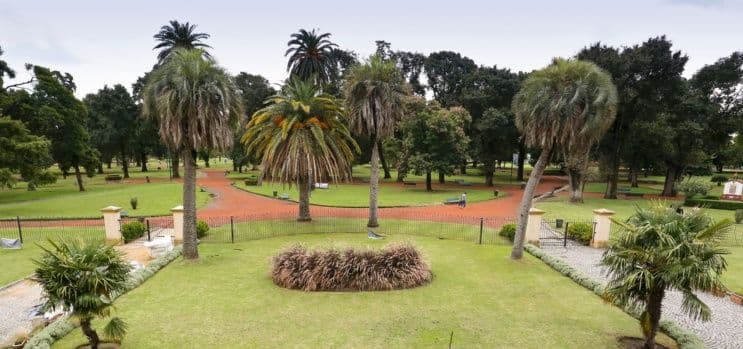 Horror por envenenamiento masivo de perros en Parque Avellaneda