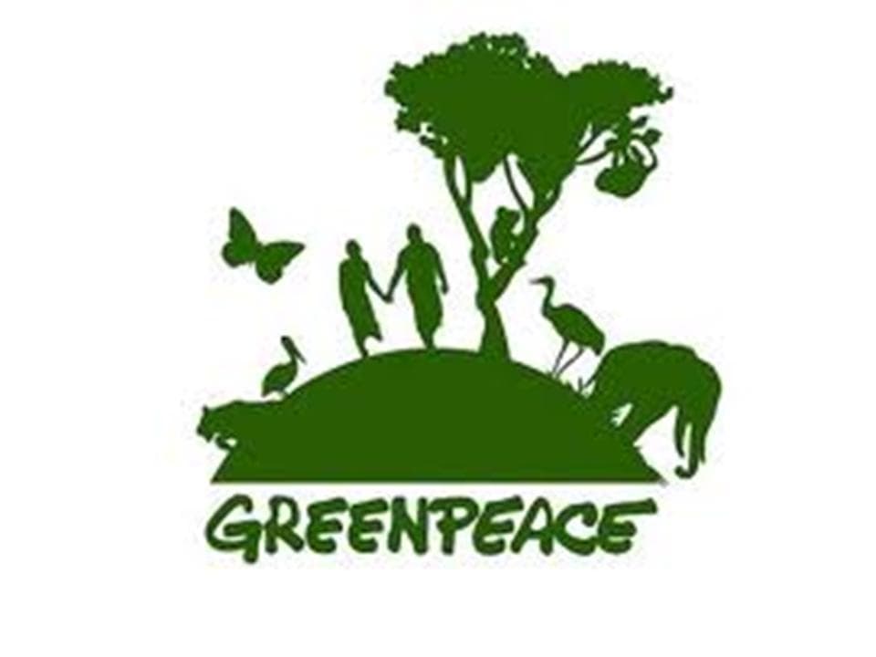 Fuertes denuncias por acoso sexual en Greenpeace Argentina: su director bajo la lupa