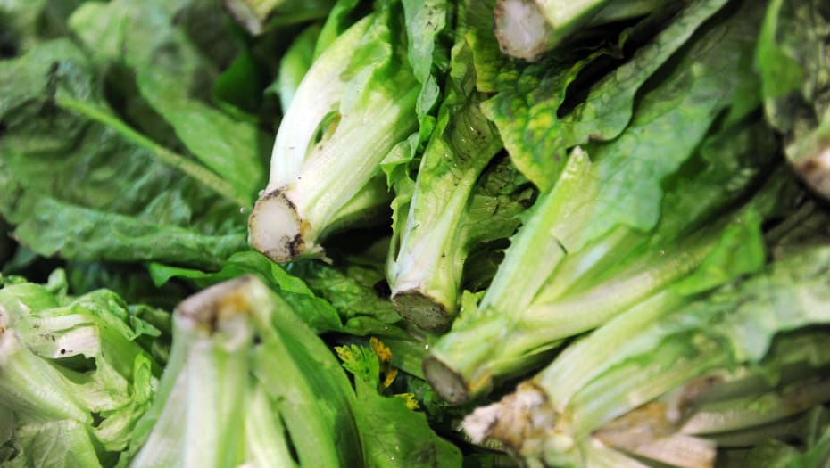 La «ruta de la lechuga»: por qué está tan cara y por cuánto tiempo seguirá así