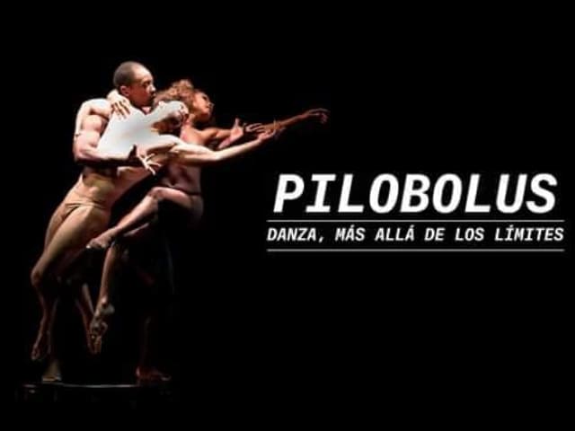 Pilobolus se presenta en el Teatro Coliseo con el espectáculo «Danza, más allá de los limites»