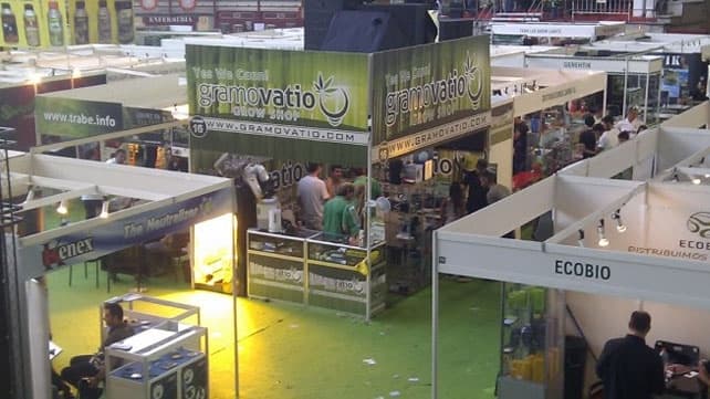 Uruguay celebrará la primera «expo cannabis» con la marihuana legal