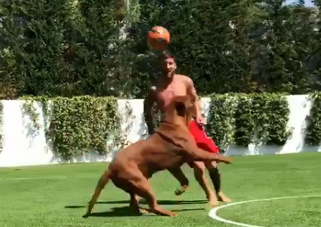 Un día antes de regresar a la práctica de Barcelona, Lionel Messi volvió «loco» a su perro con una pelota