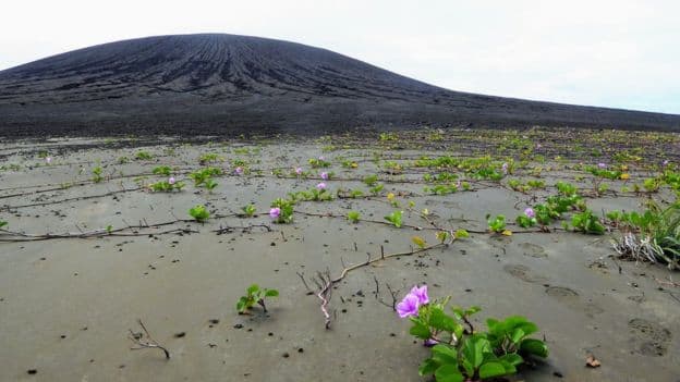 El misterioso lodo en una isla nueva del Pacífico que desconcierta a científicos de la NASA