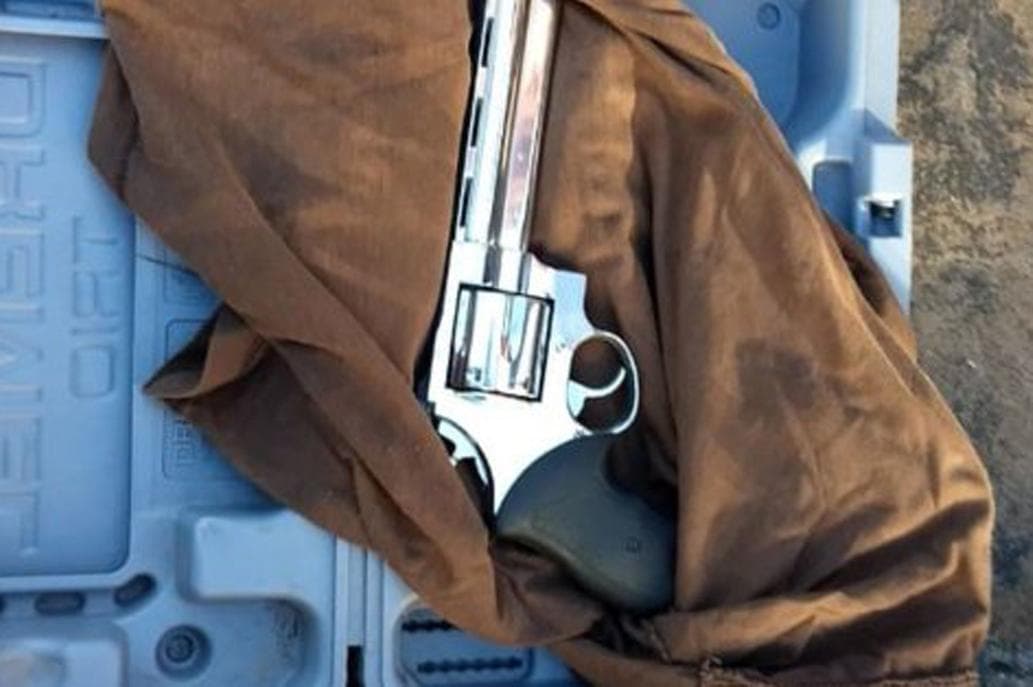 Detuvieron a un hombre que intentó ingresar a la Casa Rosada con un revólver