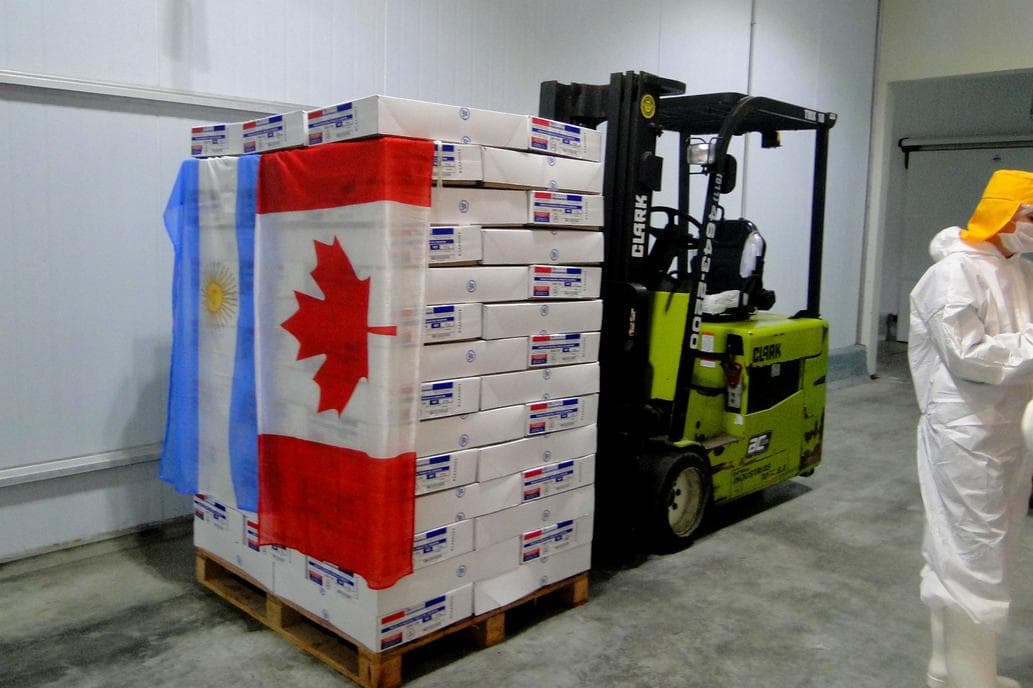 Por primera vez, una empresa entrerriana exportó alitas de pollo a Canadá