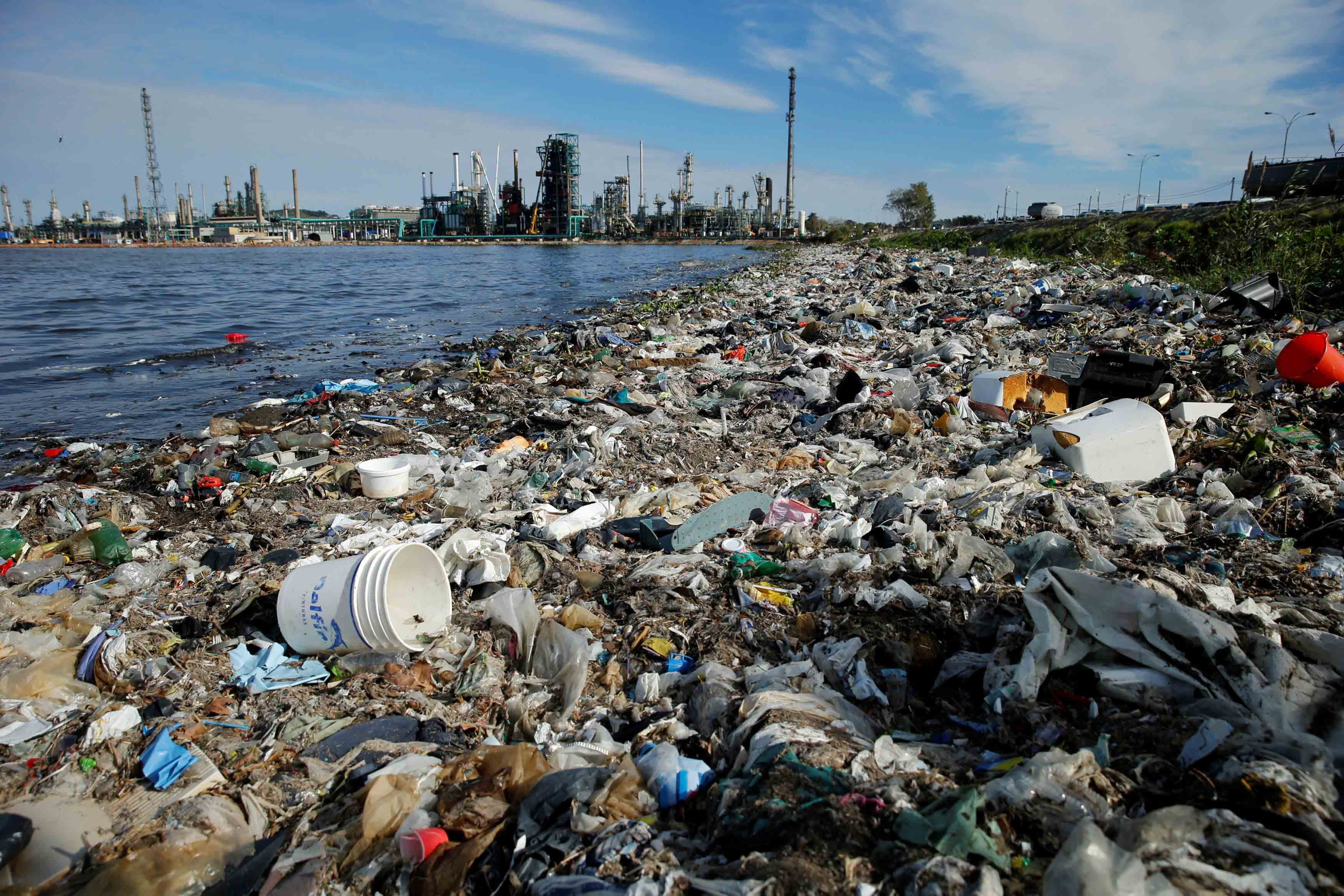 Día Mundial del Medio Ambiente: cinco medidas que propone la UNAM para evitar la catástrofe