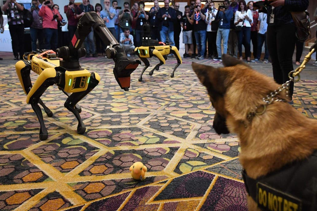 Así es Spot, el perro robot que Boston Dynamics pondrá a la venta este año