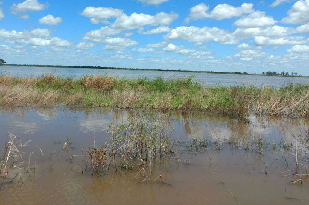 Según el INTA, la inundación en el Chaco es la más grave de los últimos 30 años