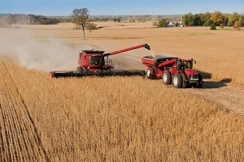 El USDA repitió las proyecciones en soja y maíz