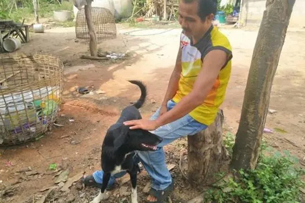 Un bebé fue enterrado vivo por su madre y un perro lo encontró y lo salvó
