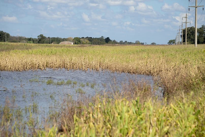 Chaco: Entregan $87 millones de emergencia a productores