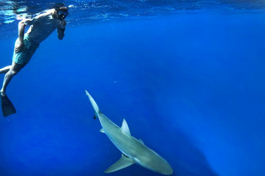 Manu Ginóbili siempre toma riesgos: de cazar murciélagos a nadar con tiburones