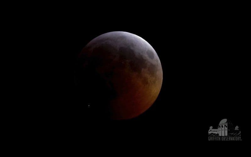 La Luna «celebra» los 50 años del Apolo 11 con un eclipse parcial