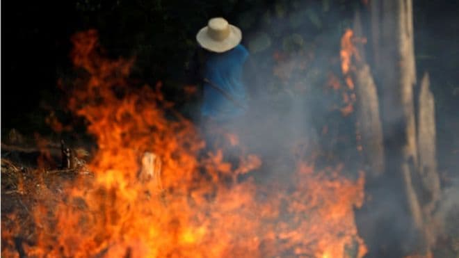 #PrayForAmazonas: los incendios en el Amazonas se convirtieron en primera tendencia mundial en Twitter