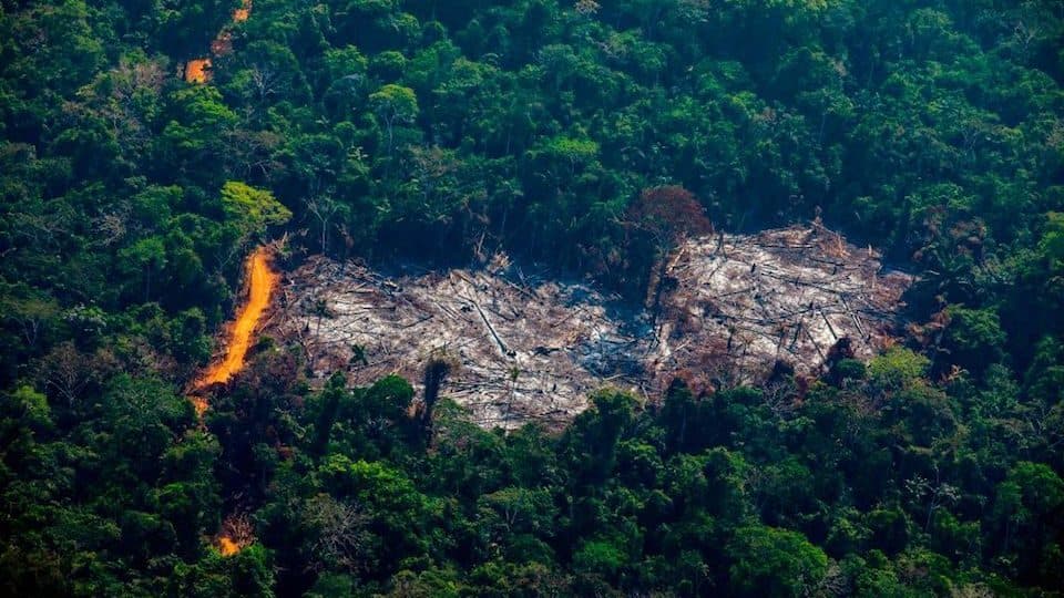 Austria rechaza el acuerdo Unión Europea – Mercosur por incendios en el Amazonas