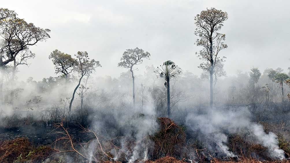 La deforestación en Amazonia creció 212% en octubre, advirtió una ONG