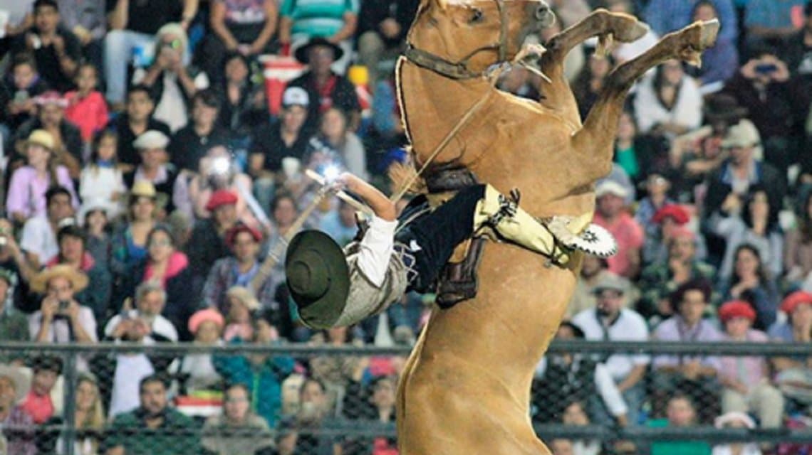 Denuncian penalmente al festival de Jesús María por maltrato animal: qué pasó con la yegua accidentada