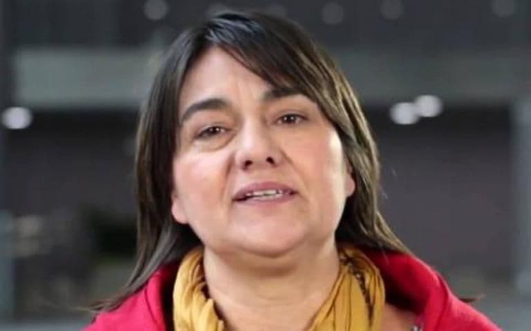 Mónica Schlotthauer, la ex diputada que terminó su mandato y volvió a su trabajo en limpiezaMónica Schlotthauer, la ex diputada que terminó su mandato y volvió a su trabajo en limpieza