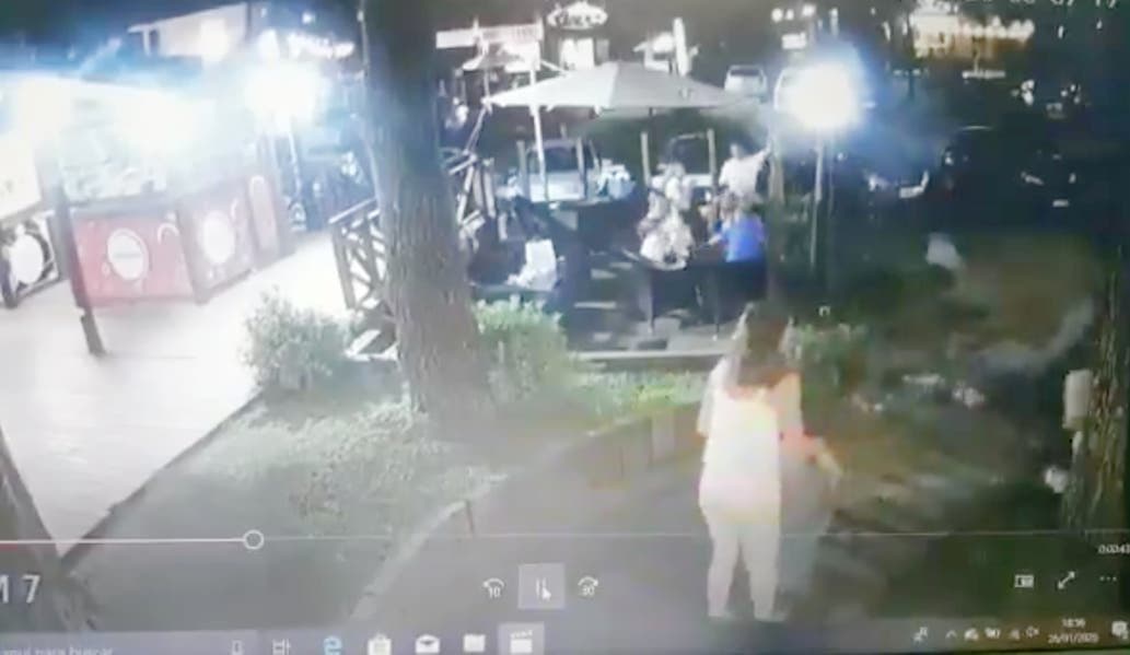 Un pino se derrumbó sobre una familia en Costa del Este