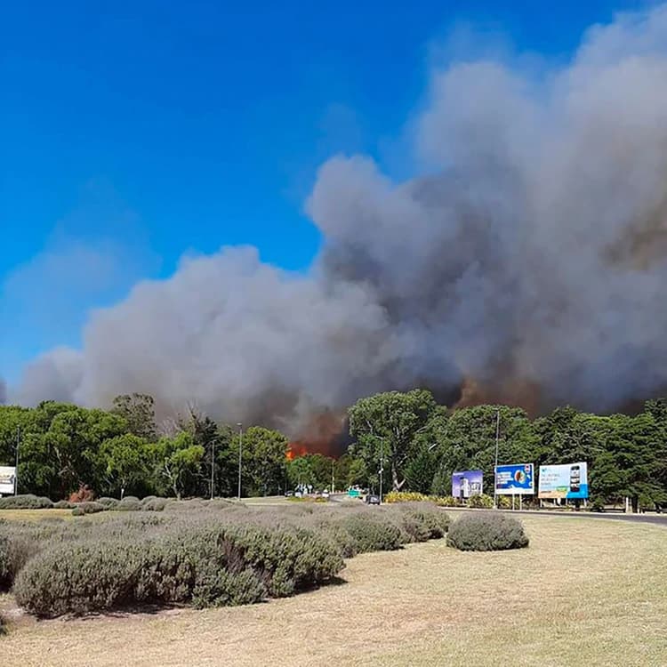 Incendio en la entrada a Villa Gesell: las llamas alcanzaron algunas casas