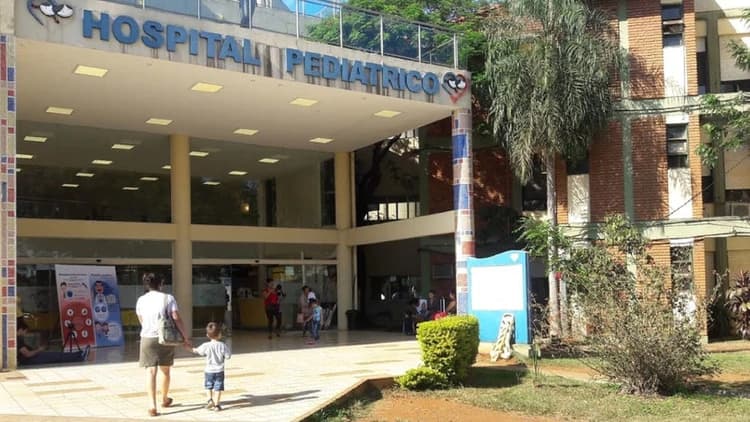 Un bebé de 8 meses murió asfixiado por comer frutos de ligustro en Misiones