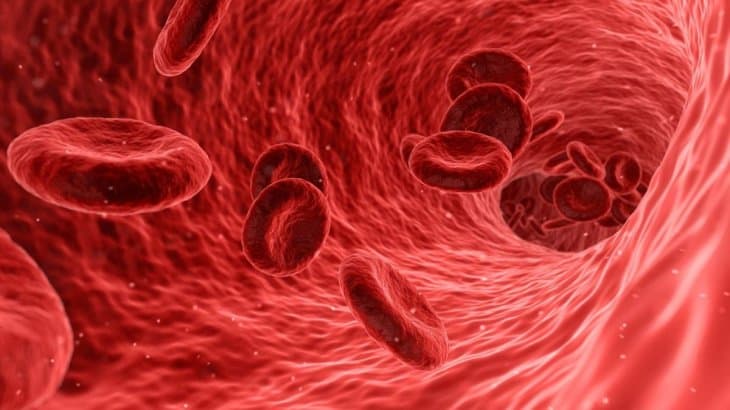 Estudio revela qué tipo de sangre podría ser más vulnerable al coronavirus