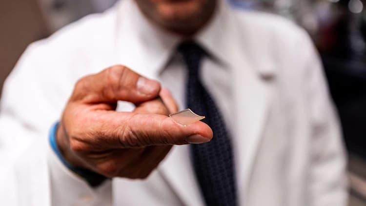 Investigadores probaron con éxito en ratones una nueva vacuna contra el coronavirus