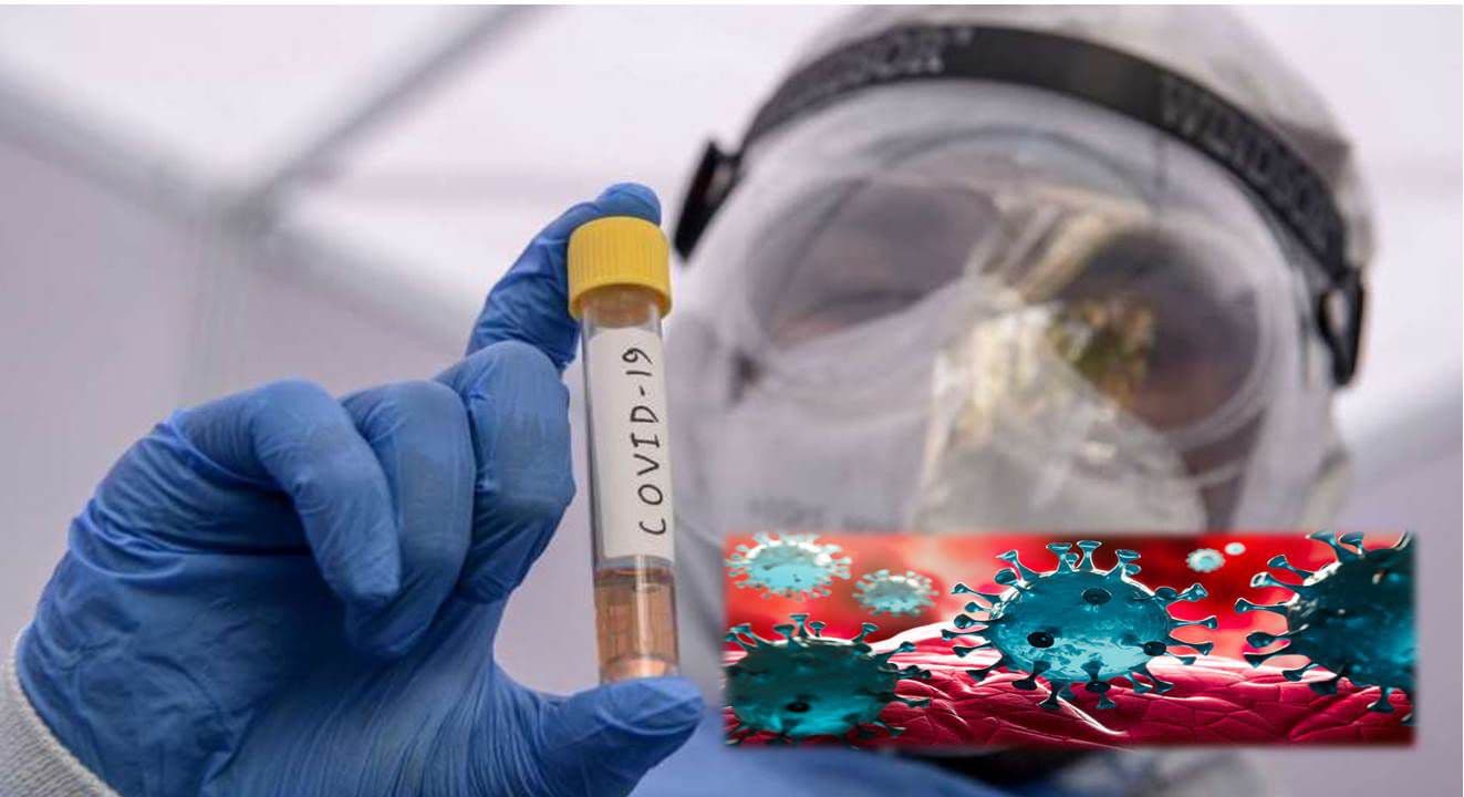 Hallan imágenes del momento exacto en que el coronavirus infecta una célula del organismo