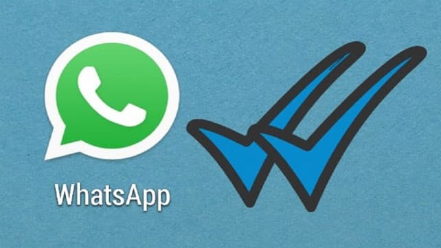 Alivio: WhatsApp habilitó la opción para desactivar el doble tilde azul