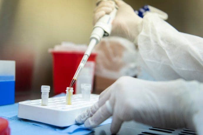 La OMS ratificó el origen animal del Covid-19