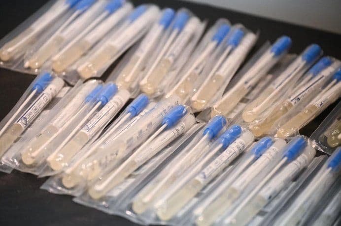Argentina presentó el operativo Detectar a la OMS