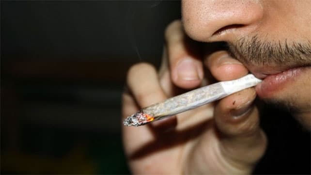Washington legalizó el consumo y cultivo de marihuana